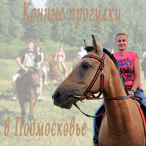 sotrudnichestvo-banner-04.jpg