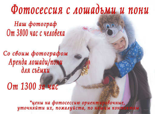 Стоимость детской фотосессии с лошадьми и пони