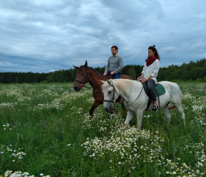Такие фотографии получаются в полях на конюшне в Александровке