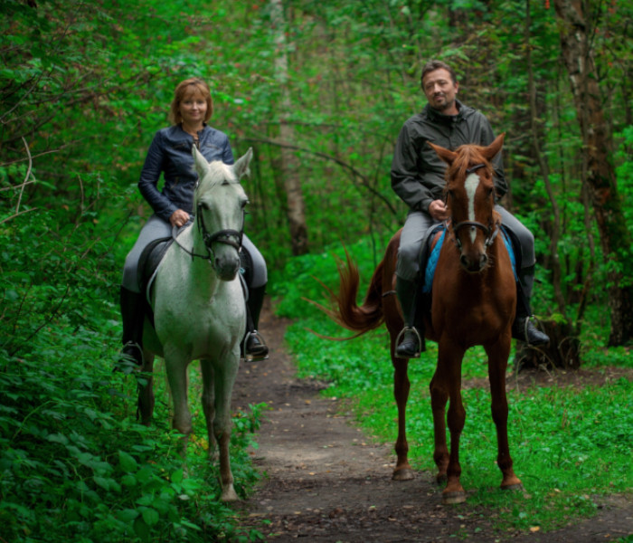 Фотография пары на лошади в лесу, в Москве, Строгино