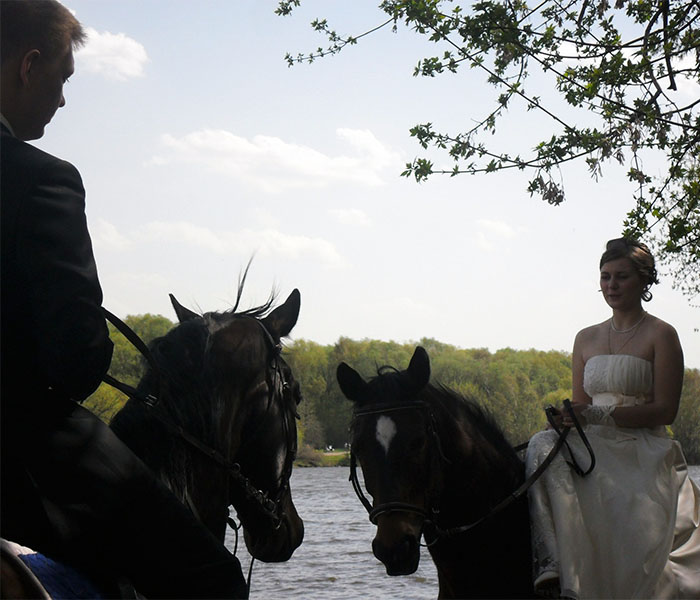 Лошади на Свадьбе создадут эмоциональный и символичный фон