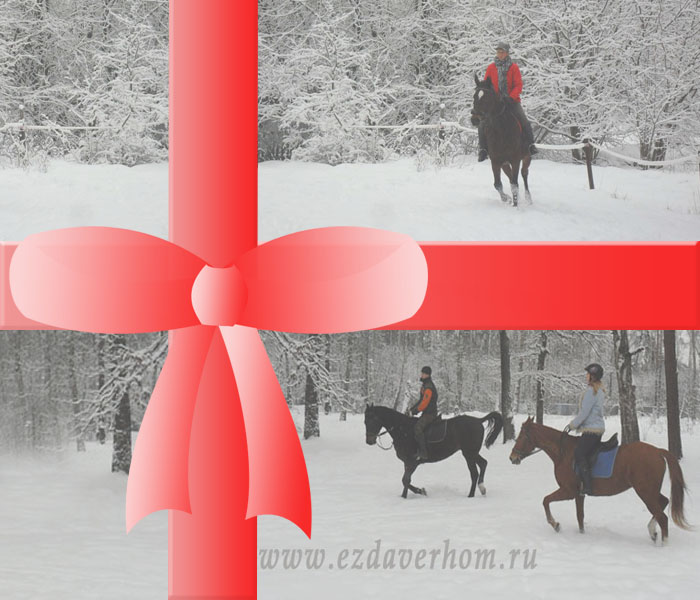 Подарочные сертификаты на конные прогулки в Москве и Подмосковье