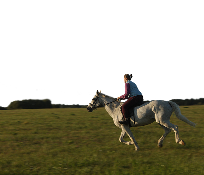 Фотография девушки, которая скачет на белой лошади в поле