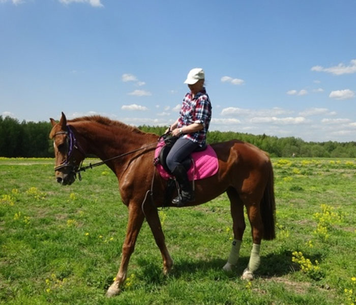 Девушка на лошади в поле рядом с конюшней в Кощейково