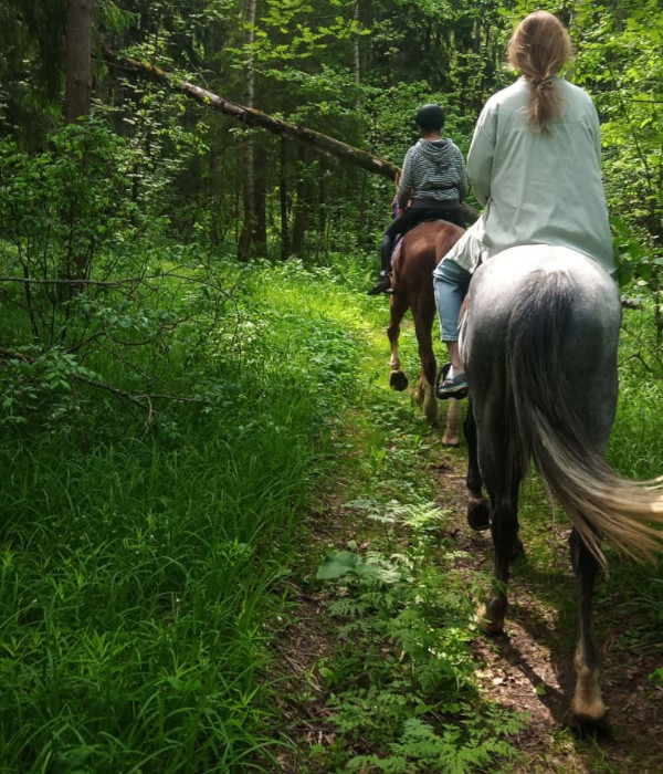 Пара на лошадях едит на лошади по лесу.  Лесной участок конного маршрута на конюшне в Кощейково