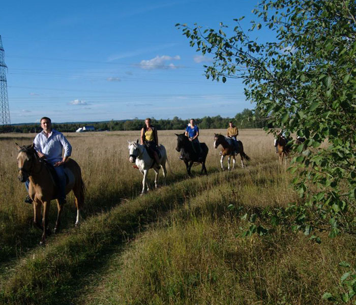 Фотография с конного маршрута в Онуфриево