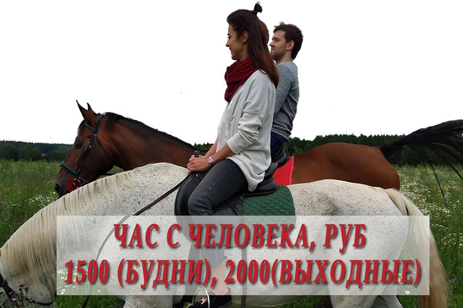 На фотографии указана стоимость конной прогулки на конюшне в Алексндровке