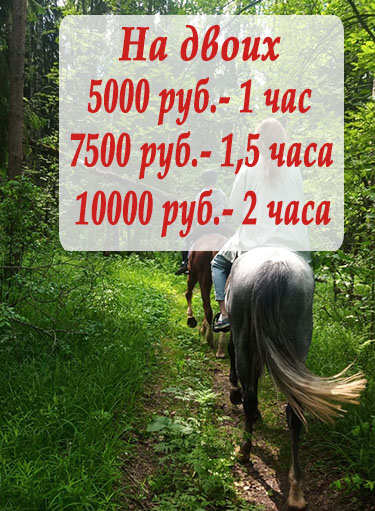 Стоимость конной прогулки на двоих в Кощейково 